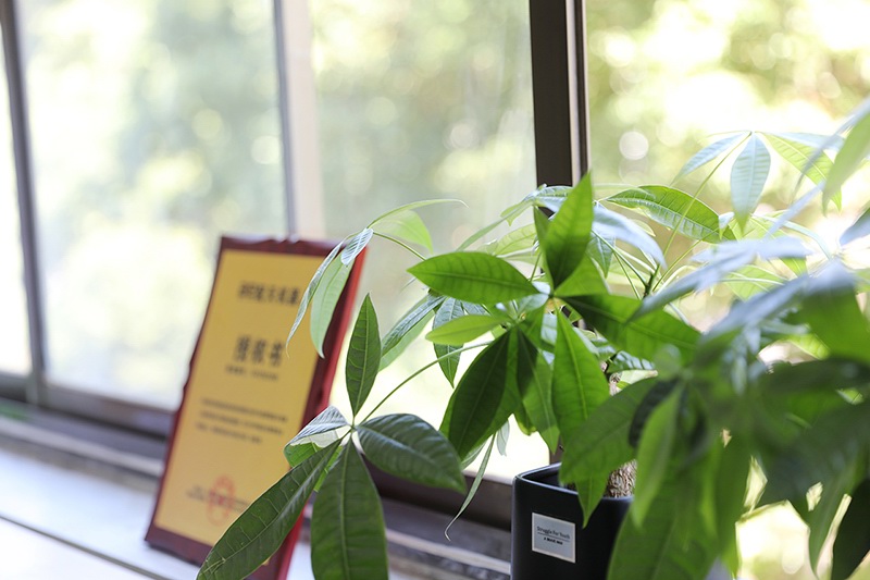 整潔明亮的辦公室-財(cái)務(wù)部-圖2