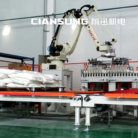 那智機(jī)器人高速碼垛工作站